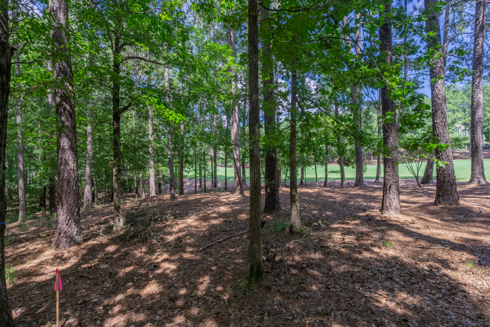 2721 Parrott's Pointe Road image 9